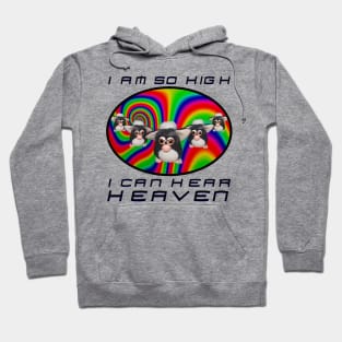 i am so high i can hear heaven Hoodie